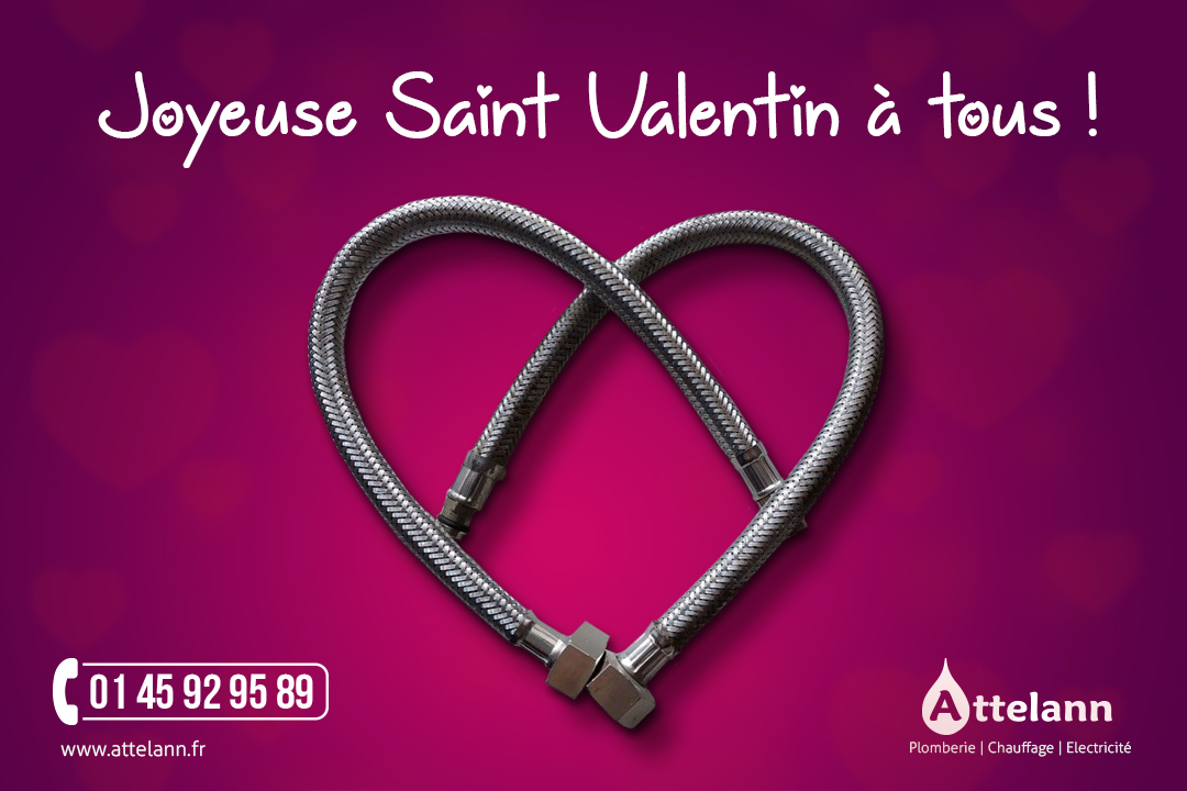 Joyeuse Saint Valentin à tous !